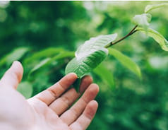 img ciclos nutritivos del suelo