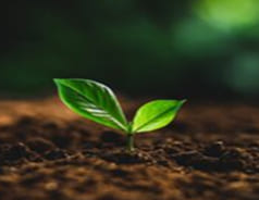 img fertilidad del suelo