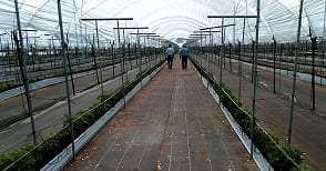 img porque elegir bio2 02