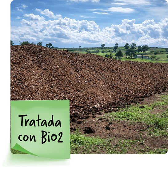 img prohumus resultados