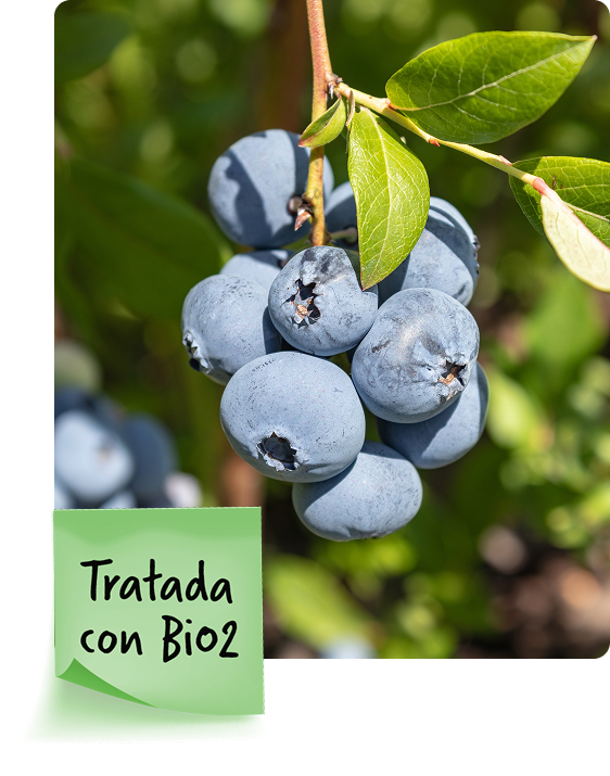 img bio 02 tratada conbio2
